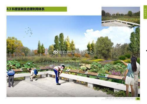 安徽公园爆料视频播放,揭秘公园幕后故事